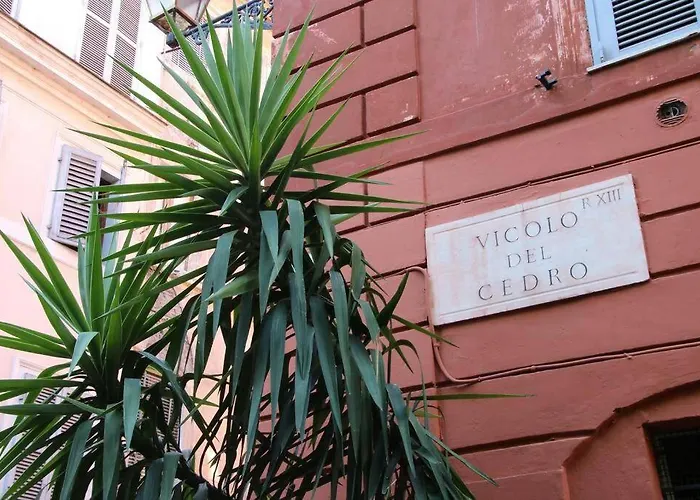 Cedro Home
